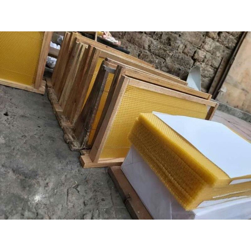 30 TẤM CHÂN TẦNG ONG NỘI.