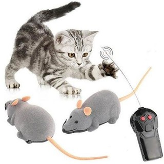 Đồ chơi hình chuột điều khiển từ xa cho mèo