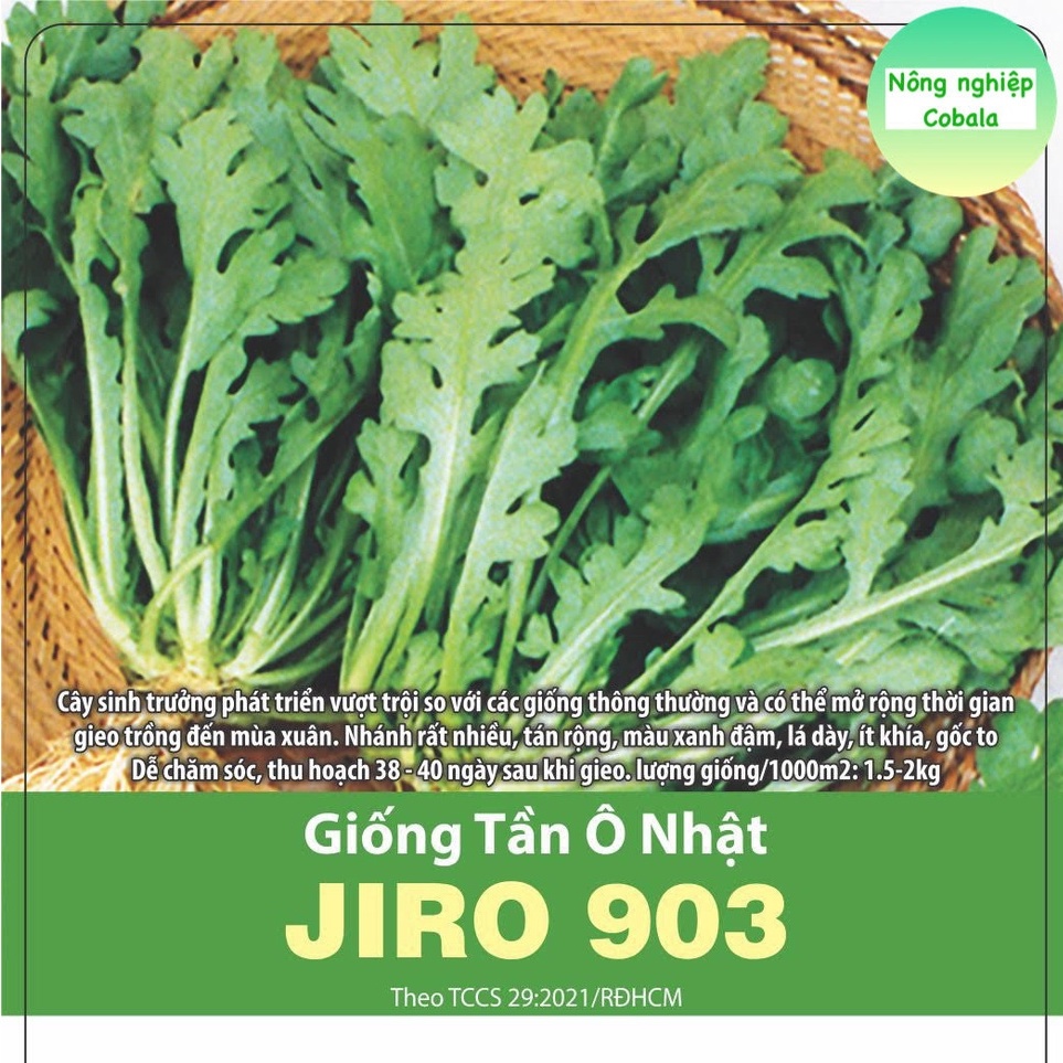 Hạt Giống Tần Ô Nhật (JIRO 903) 10gr