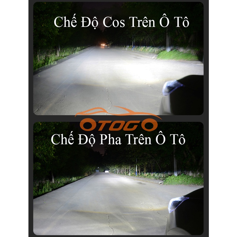 Đèn Bi Cầu Mini Led Y8 Thế Hệ Mới 42W , Chân H4 Siêu Sáng