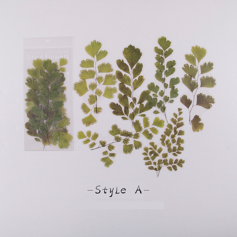 Set 6 nhãn dán họa tiết hoa lá nhiều kiểu dáng tùy chọn trang trí sổ/album độc đáo ST54