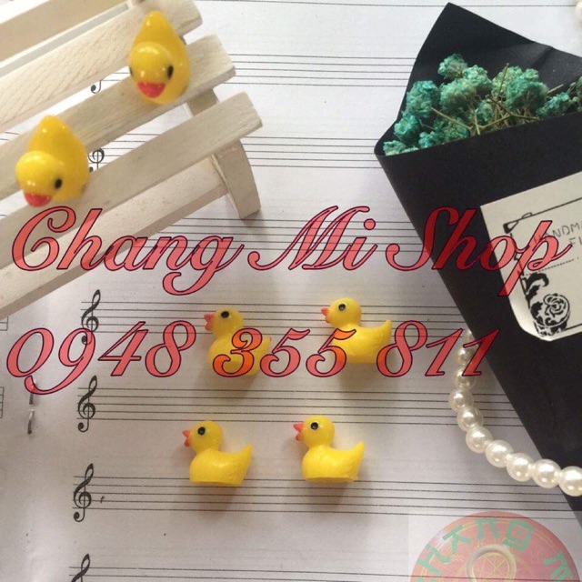 Charm con vịt