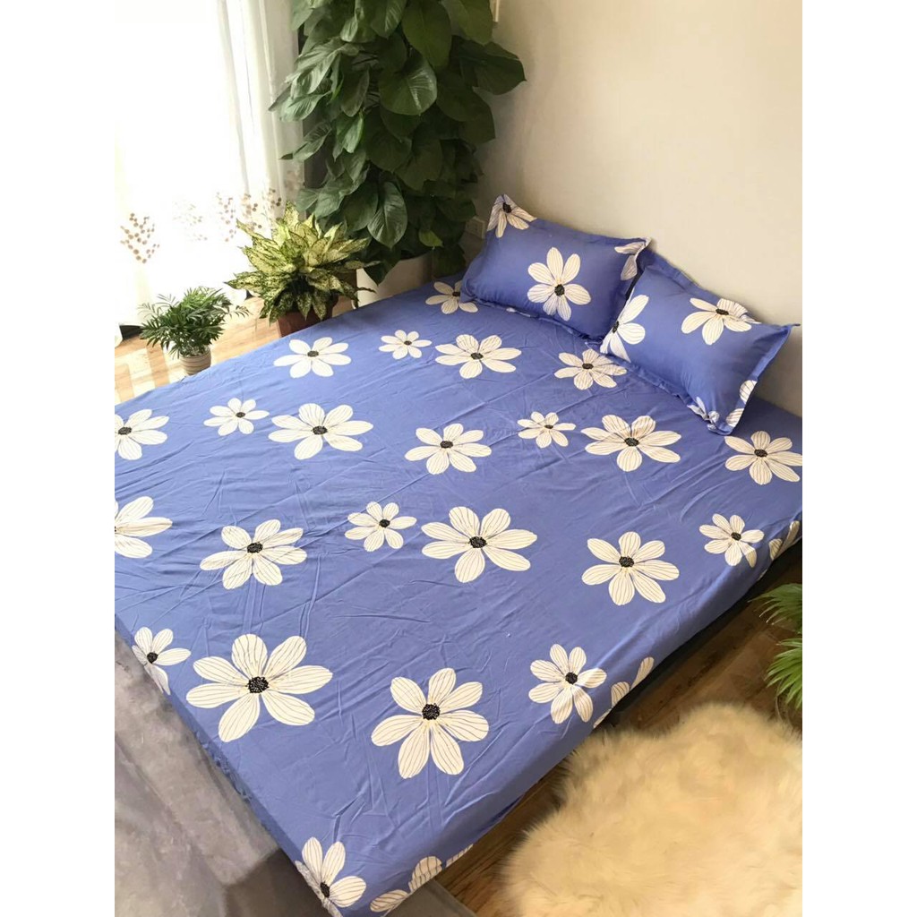 Bộ Ga gối Cotton Poly Emmidecor Các Mẫu Hoa