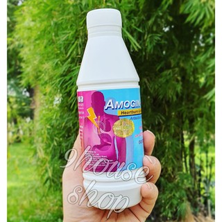 01 Chai Amogin Gel Thái Lan 240ml