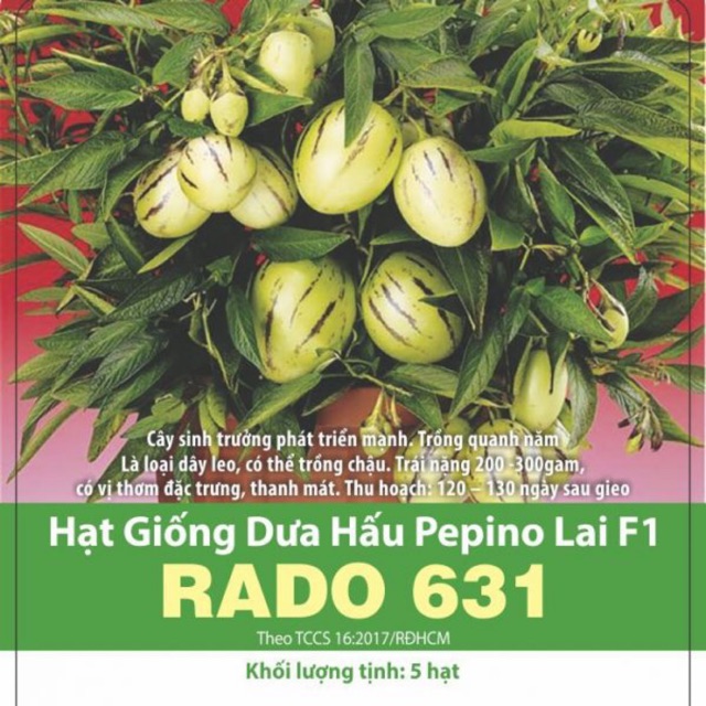 Dưa Hấu Pepino ( 5 hạt )