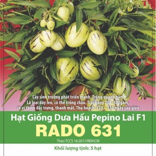 Dưa Hấu Pepino ( 5 hạt )