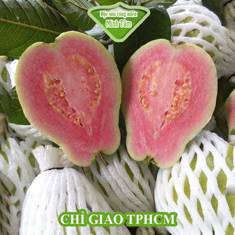 Ổi TRÂN CHÂU RUỘT ĐỎ [CHỈ GIAO HCM]