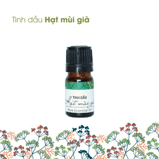 Tinh Dầu Hạt Mùi Già Thiên Nhiên Nguyên Chất Mang Tết Về Nhà Cỏ Mềm 5ml