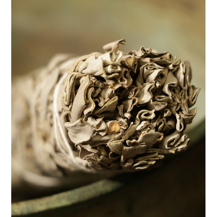 Bó Lá xô thơm trắng, xô xanh, tuyết tùng, bách xù white sage xông nhà thư giãn tinh thần và khử trùng không gian sống