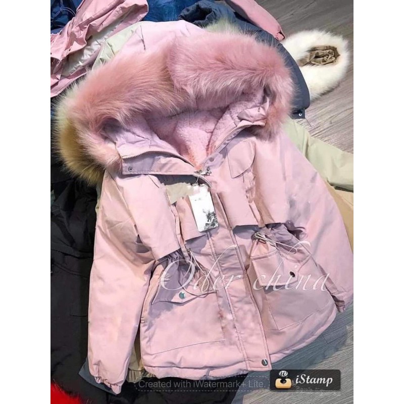 BÁN SỈ ÁO PAKA LÓT LÔNG 4 MÀU CHO NỮ | BigBuy360 - bigbuy360.vn