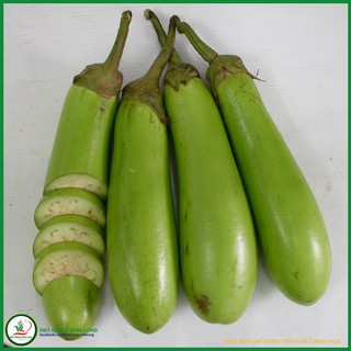Hạt giống Cà mỡ xanh TN 054 - 1g
