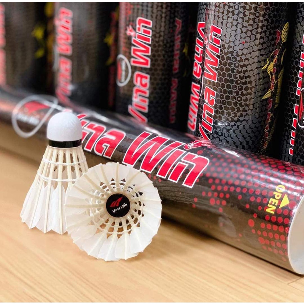 Cầu VIna win loại 2