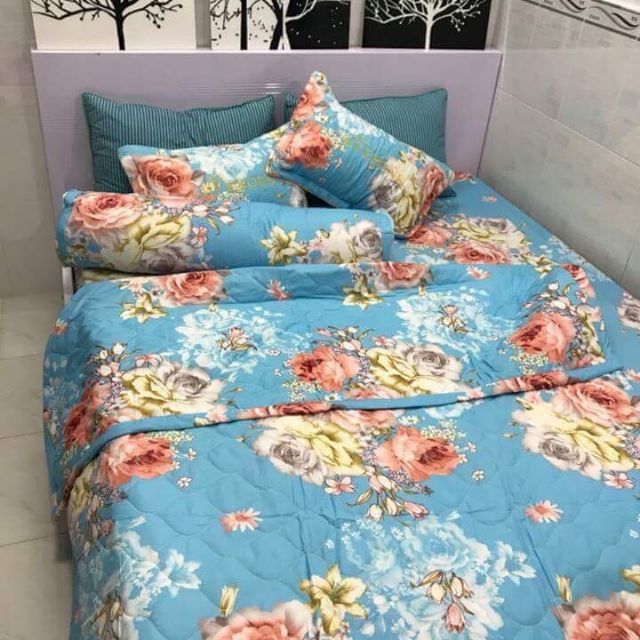 Combo bo drap và 2 áo thun 579k