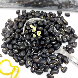 [Phú Nhuận] Đậu Đỗ Đen Xanh Lòng Hạt Đều Loại Rất Ngon