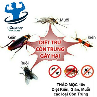 Thuốc xịt Muỗi, Kiến Dodolala 350ml( Chính hãng) NEW