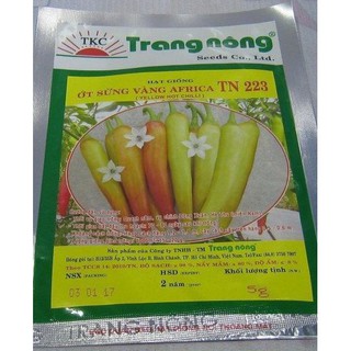 10H - Hạt Giống Ớt Ấn Độ, Chỉ Thiên, Sừng Vàng, Sừng Cam