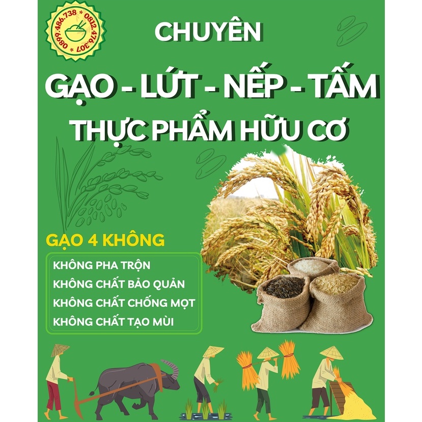 Tấm Thơm Từ Gạo ST25 - Nấu Cơm Tấm,Cháo Dinh Dưỡng,Cháo Sườn,Cơm Ăn Dặm Cho Bé - Gạo Ông Thọ - Túi hút chân không 1kg