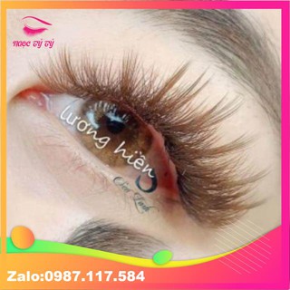 MIX NÂU TÂY 007,010 ( từ 8 đến 13- cong C, Cc, D, LD gãy 010, M010,L010)