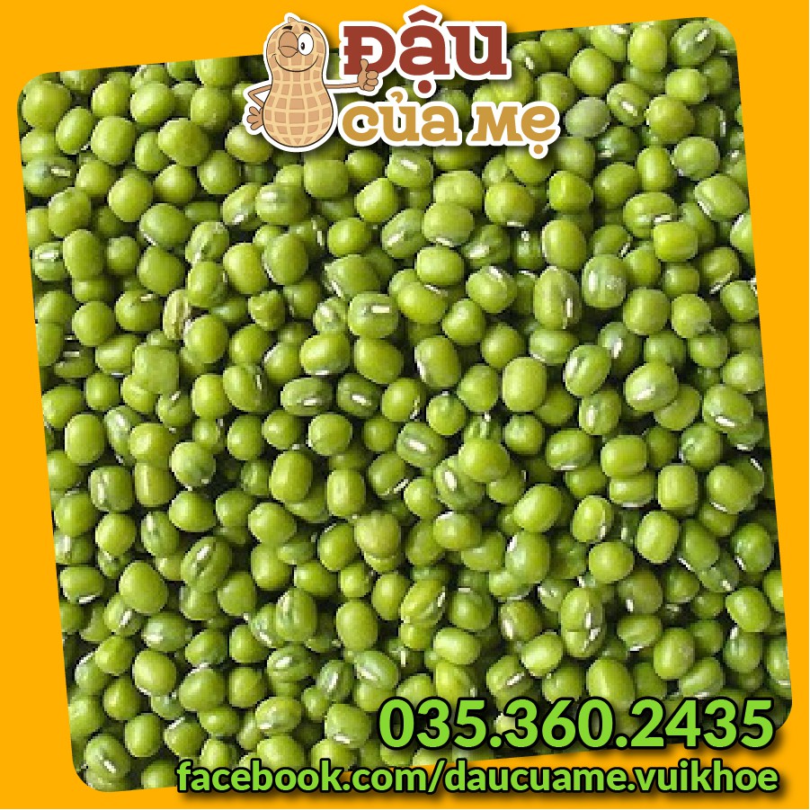 Đậu xanh  làm giá