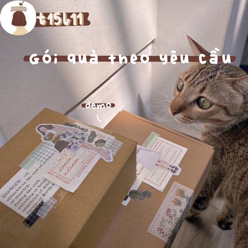 [t15l11] CHỈ HỘP GÓI quà tặng theo yêu cầu