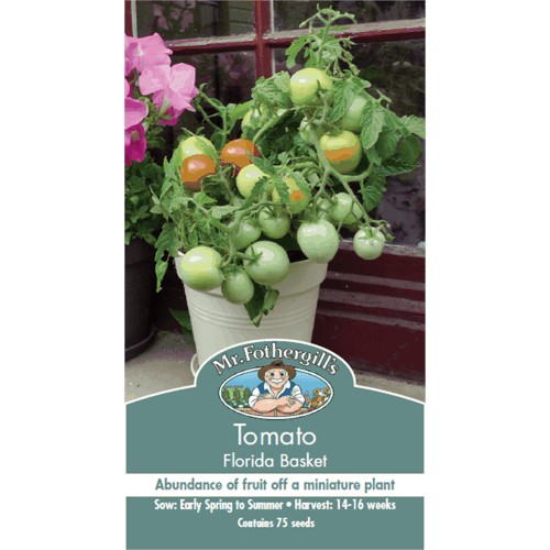 Hạt giống cà chua Florida cao cấp-cà chua trồng trong chậu - ban công xanh