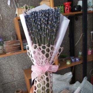 Quà tặng - Hoa Lavender khô Made in Đà Lạt