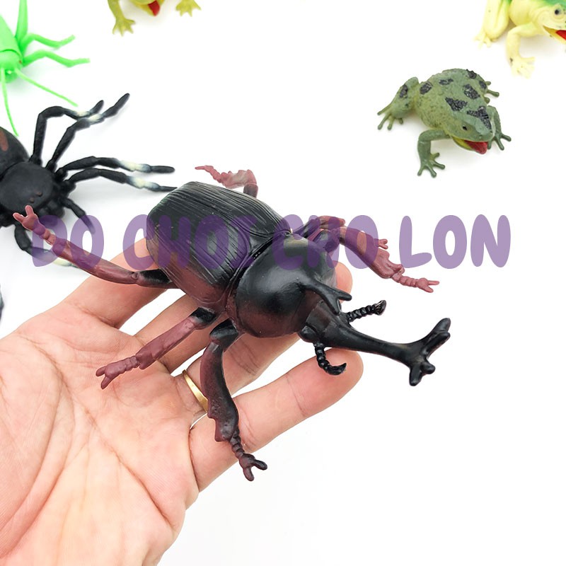 Bộ đồ chơi 8 loài côn trùng bằng nhựa Insect SET 929-79