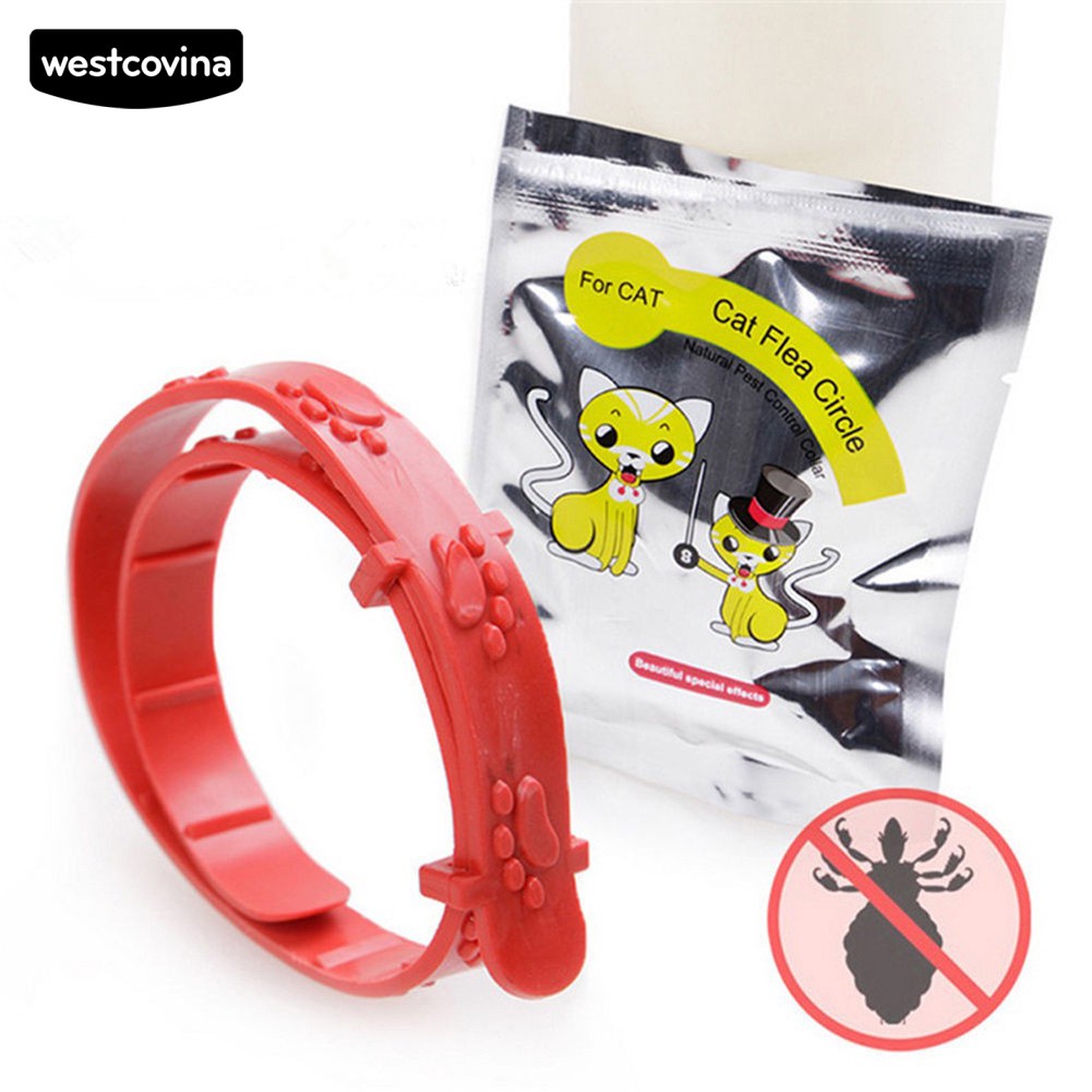 ( mới ) Vòng cổ chống bọ chét / bọ chét cho thú cưng