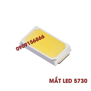 Nhân mắt led 5730 (100 mắt/1 vỉ)