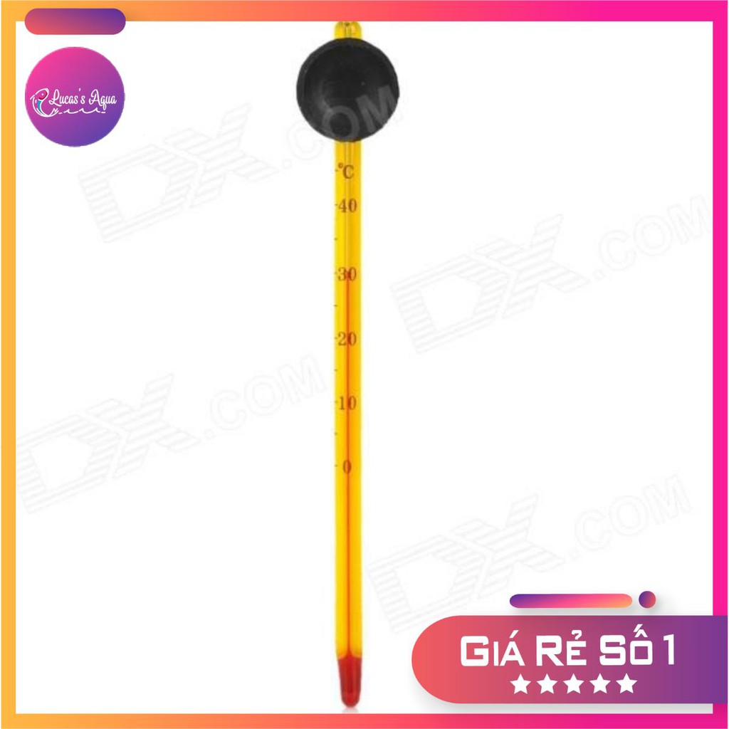 Nhiệt kế bể thủy sinh- đo nhiệt độ bể cá