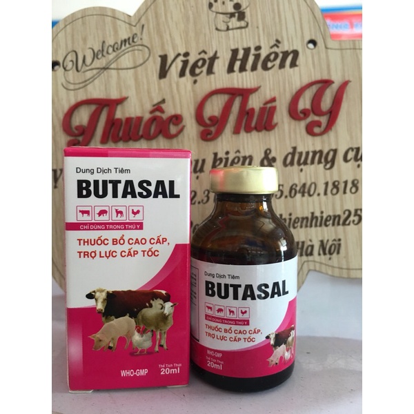 Th.u.ốc b.ổ ca.o c.ấp, tr.ợ l.ực c.ấp tốc Butasal 20ml