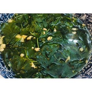 Cây rau ngót Nhật- bầu đất ( cây giống)