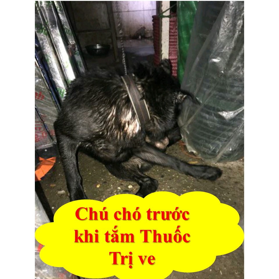 4 Gói Thảo Dược Diệt Ve Rận Bọ Chét Chó Mèo Tận Gốc- An Toàn Lành tính