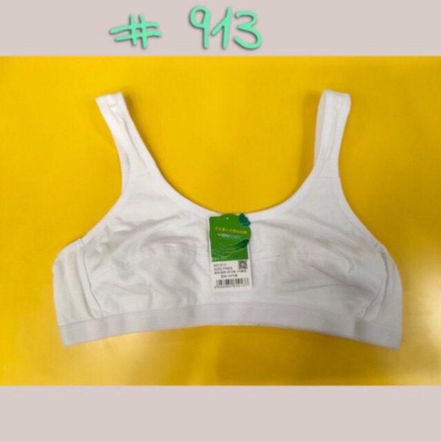 Lá 913 áo học sinh cài 3 móc sau