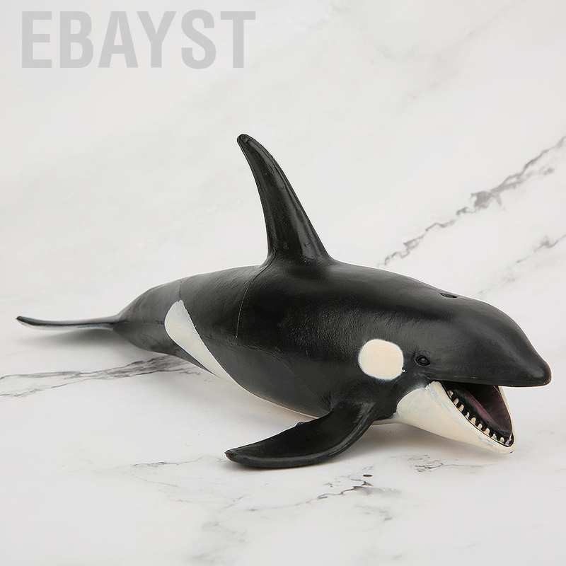 Bộ Mô Hình Cá Voi Sinh Động Làm Quà Tặng Cho Bé
