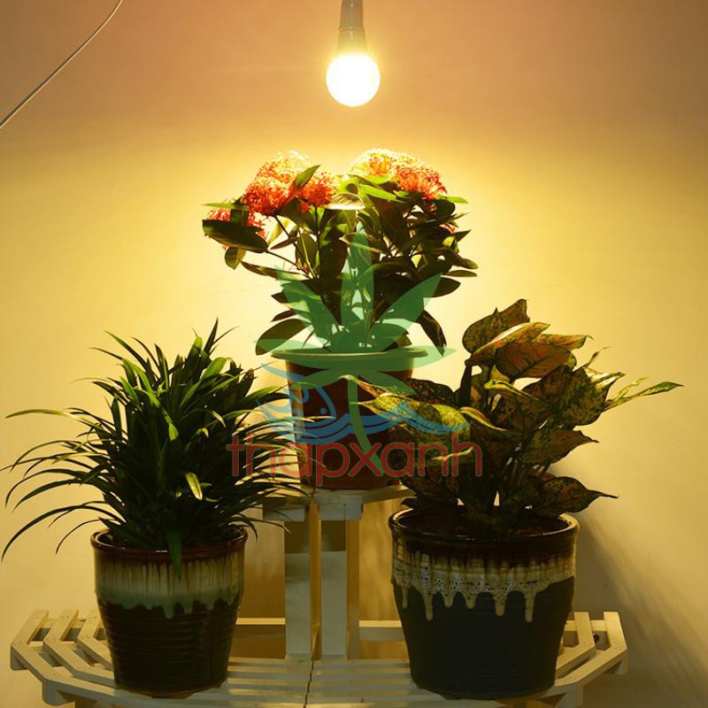 Đèn trồng cây Thanh Long DRG-15W, Đèn led xông Thanh Long