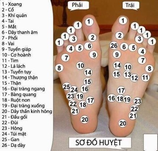Mat xa sơ đồ huyệt bàn chân