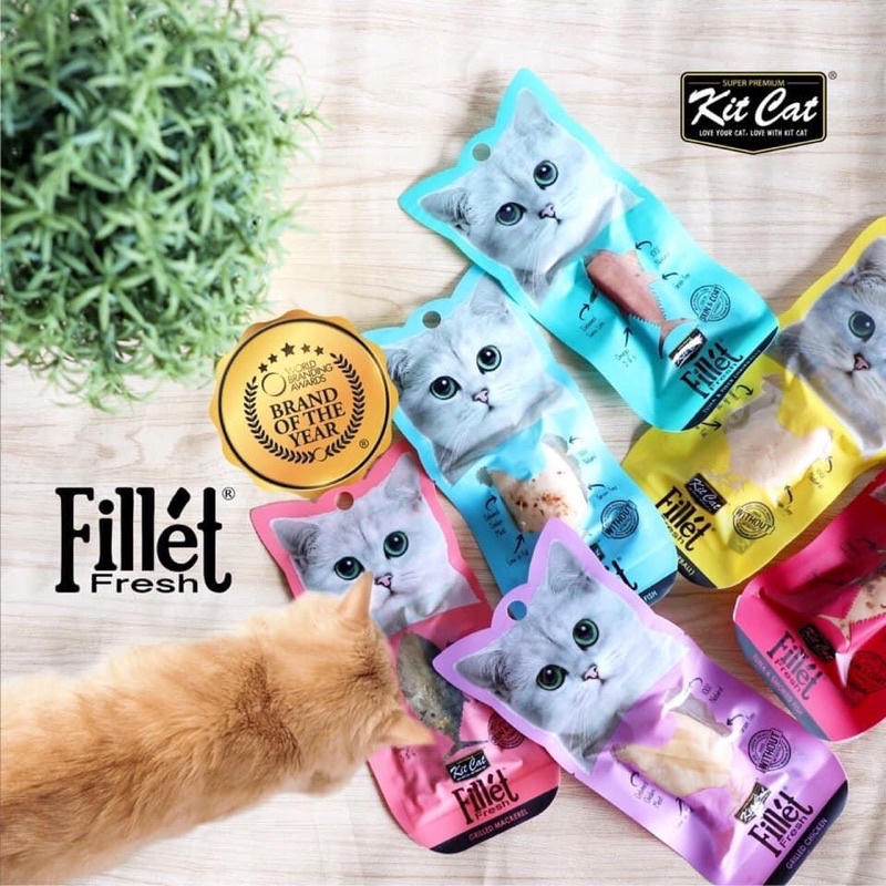 Fillét Fresh Kit Cat - Thức ăn từ phi lê cá ngừ và phi lê gà dành cho mèo, thức ăn cho mèo - Kitty Pet Shop BMT