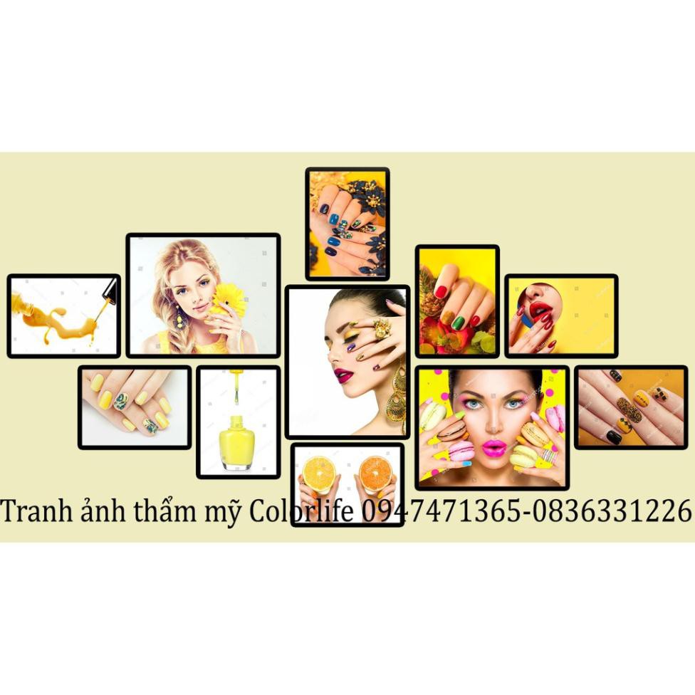 TRANH NAIL TRANG TRÍ TIỆM NAIL SIÊU ĐẸP GIÁ XƯỞNG SEONAIL2 ÁNH DƯƠNG | BigBuy360 - bigbuy360.vn
