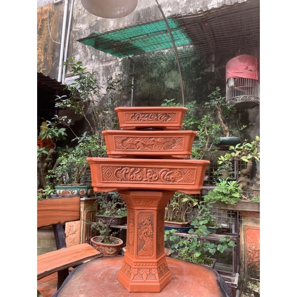Chậu chữ nhật trồng cây bonsai và đôn kê chậu