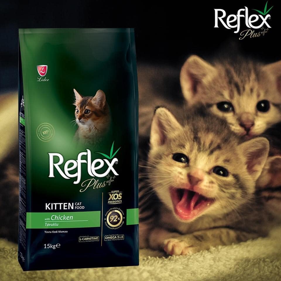 [1.5kg] Reflex Plus Kitten Chicken - Hạt khô dành cho mèo con vị Gà