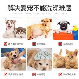 Mèo không rửa bọt, vật nuôi, vòi hoa sen, chó, vòi hoa sen, vòi hoa sen, vòi hoa sen, vòi hoa sen, vòi hoa sen, vòi hoa 
