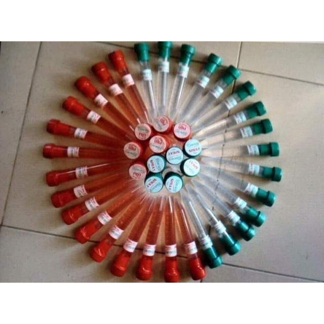 Keiki duy xanh - đỏ