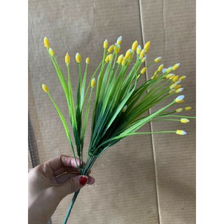 Cụm điểm sao 5 nhánh