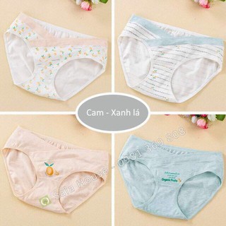 Sét 4 quần lót bầu cotton cao cấp