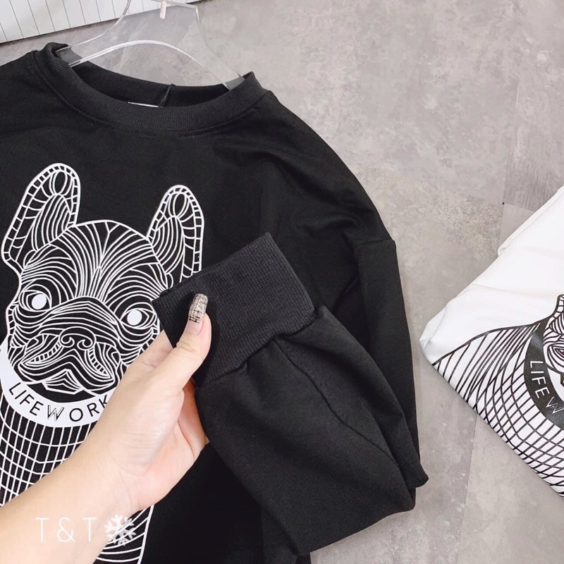 Tặng 5 áo Nỉ Chó - Ngọc Bigsize Uy Tín 60kg - 90kg | BigBuy360 - bigbuy360.vn