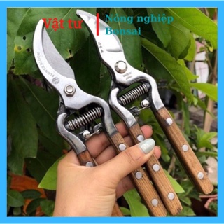 Kéo cắt cành Nhật Bãi lưỡi thép trắng, tay ốp gỗ