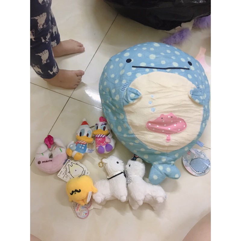 set gấu c hân doannnnnnnnnnnn