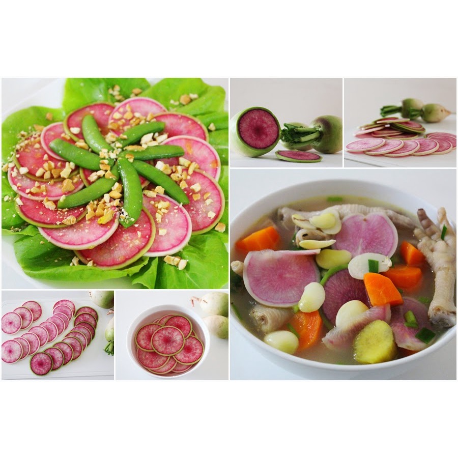 (Gói 100 Hạt)Hạt GiốngCủ Cải Ruột Hồng  F1 Loại dễ trồng kháng sâu bệnh năng suất cao