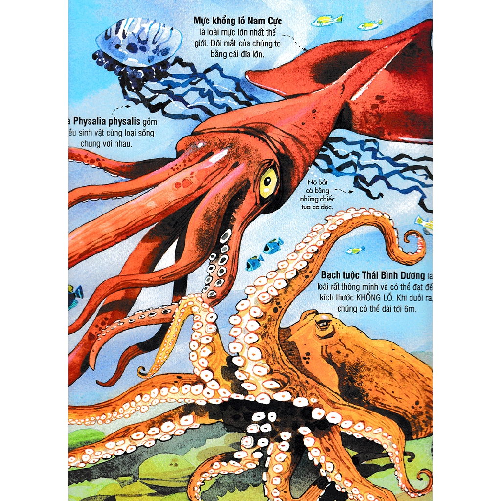 Sách - Big Book - Cuốn Sách Khổng Lồ Về Các Loài Động Vật Biển (Tái Bản)